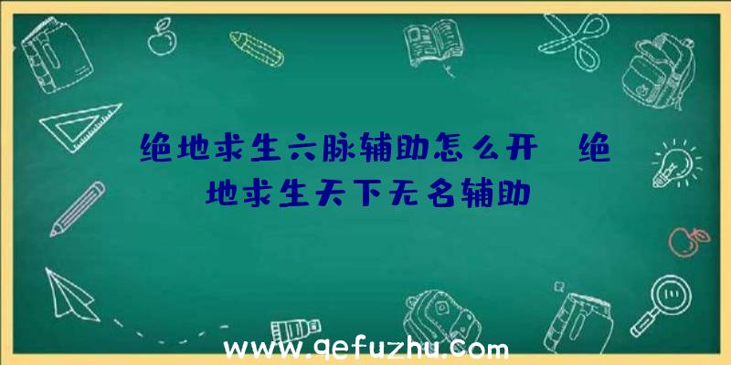 「绝地求生六脉辅助怎么开」|绝地求生天下无名辅助